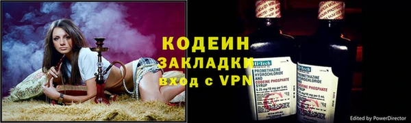 крисы Баксан