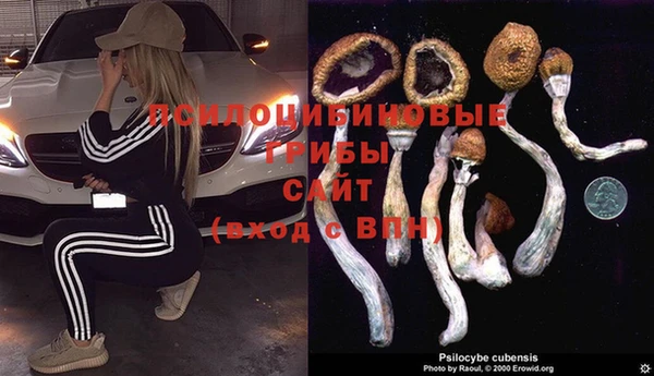прущая мука Балахна