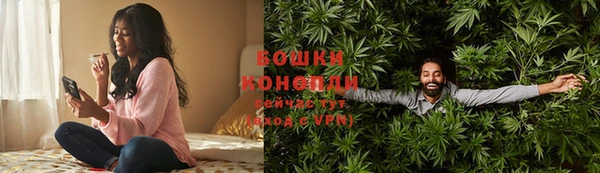крисы Баксан