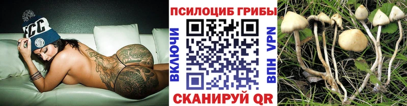 omg зеркало  Тетюши  Псилоцибиновые грибы Psilocybine cubensis 